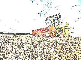 Зерновой комбайн (рисунок)